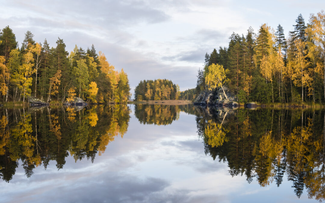 Saimaan alue käynnistää yhteisen matkailuorganisaation rakentamisen